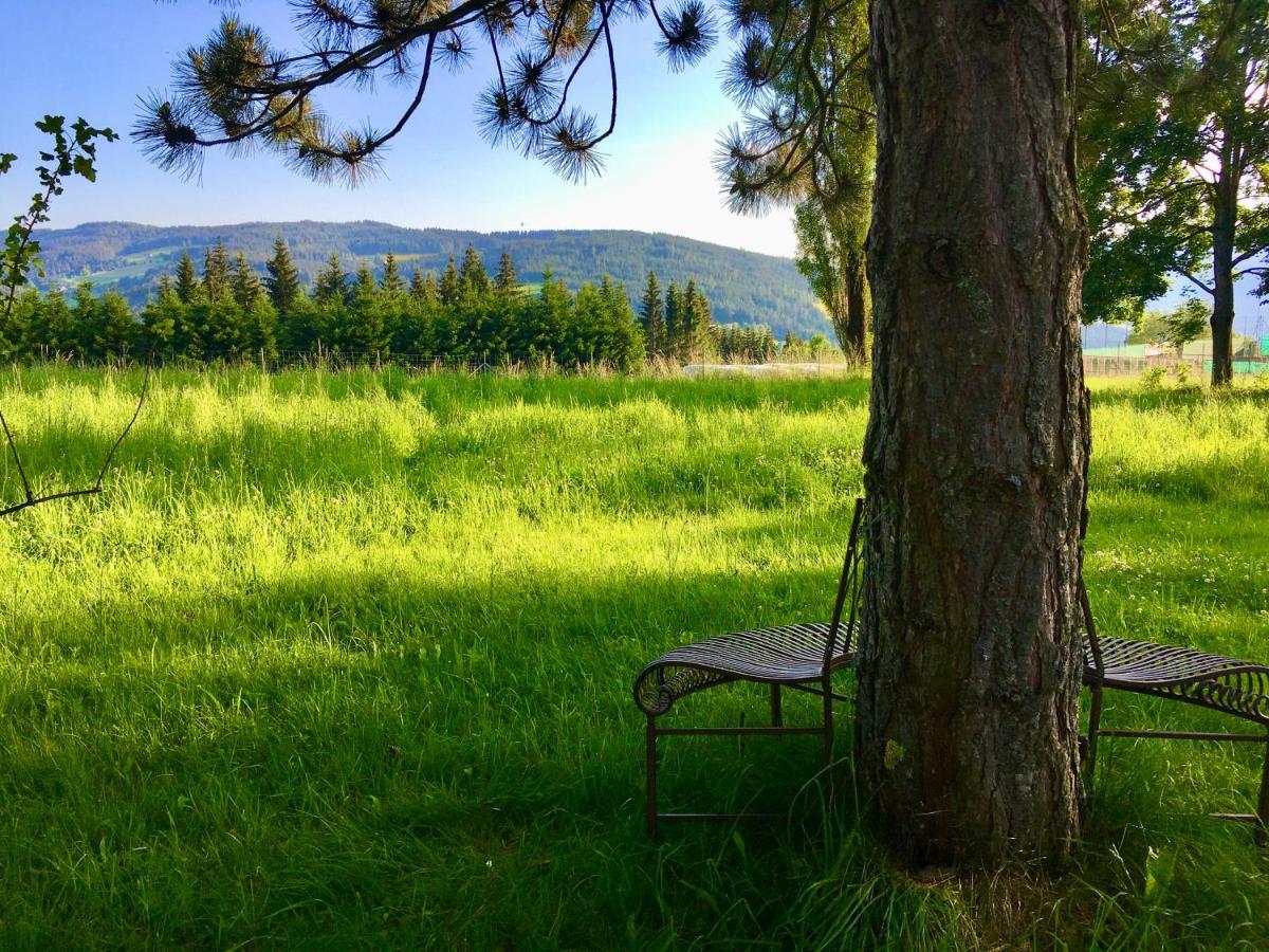 Naturforsthaus Ferienwohnung Fuer Hunde- Und Tierverbundene Menschen Preitenegg Εξωτερικό φωτογραφία