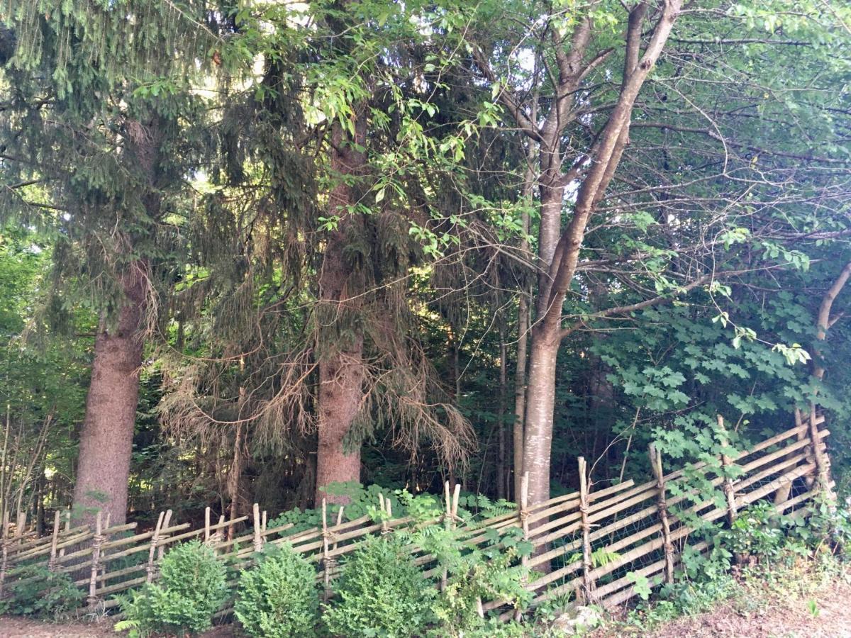 Naturforsthaus Ferienwohnung Fuer Hunde- Und Tierverbundene Menschen Preitenegg Εξωτερικό φωτογραφία