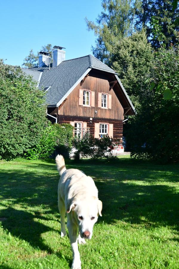 Naturforsthaus Ferienwohnung Fuer Hunde- Und Tierverbundene Menschen Preitenegg Εξωτερικό φωτογραφία